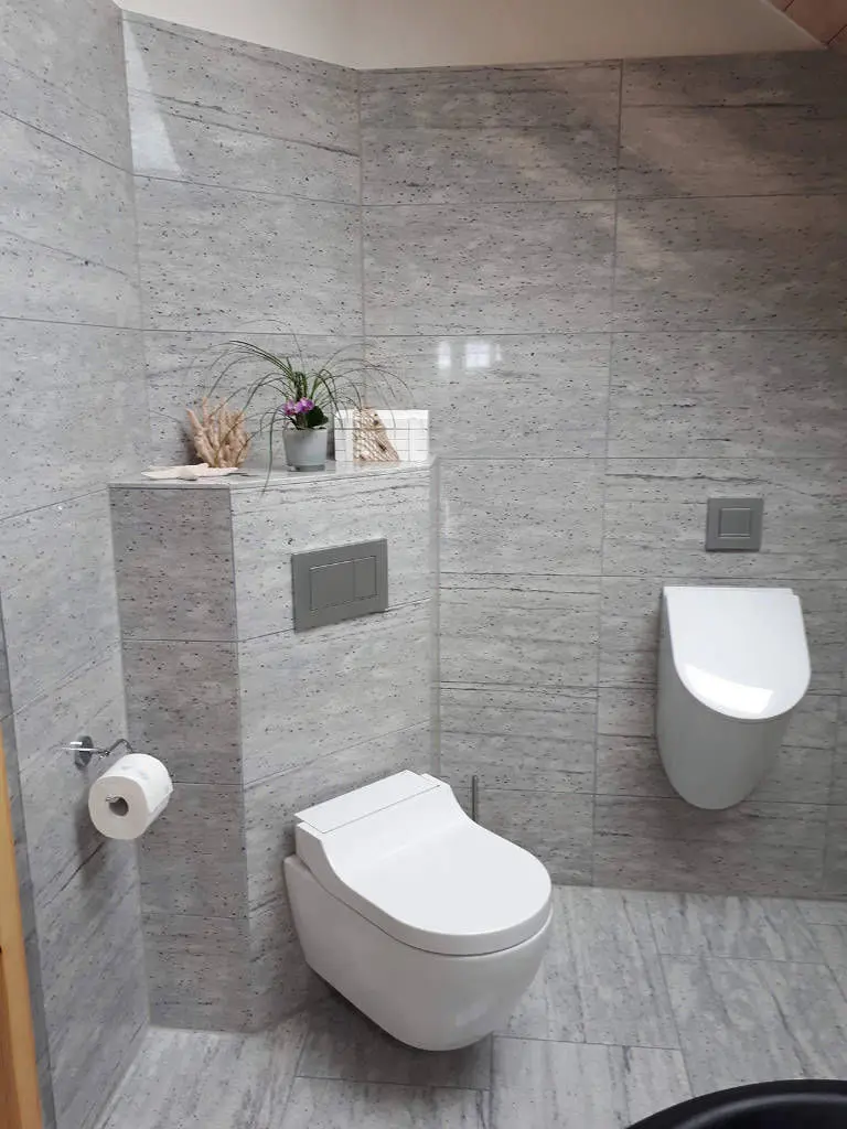 Badezimmer Renovation WC